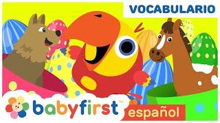 Primeras Palabras para Bebes en Español | Huevos Surpresas con Larry el Loro | Baby First Español