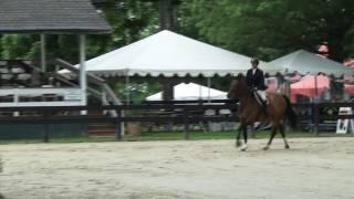 Video of MAITRE D' ridden by AMANDA STEEGE from ShowNet!