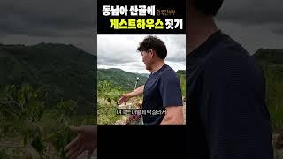 깊은 산속에 있는 집을 인수해서 게스트하우스를 오픈하려는 한국인 부부 #세부 #여행 #동남아 #필리핀