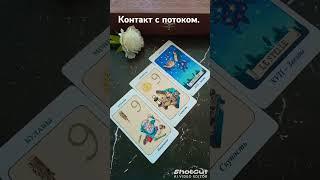 Контакт с потоком. #таро #сатсанг #пробуждение