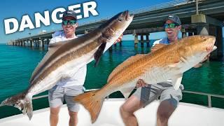 World's Best Sight Fishery Is In Danger (Catch Clean & Cook)