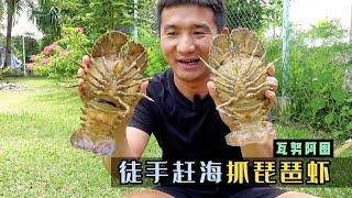 《瓦努阿图》第11集：晚上赶海抓琵琶虾和龙虾，简单到好像是在摆拍 ！#旅行 #环球旅行 #瓦努阿图 #赶海 #龙虾