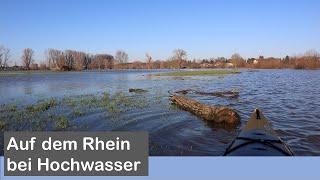 Mit dem Kajak bei Hochwasser durch die Urdenbacher Kämpe (Rhein bei Düsseldorf)