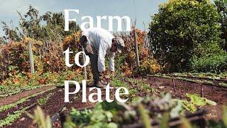 Farm to Plate & Market Garden Tour | Portugal | horta.