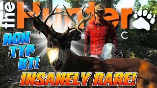 THE NON-TYP LUCK IS WILD! My FIRST Non Typical Blacktail! (SO RARE) | theHunter Classic