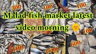 Malad fish market latest video morning  | malad fish market latest video