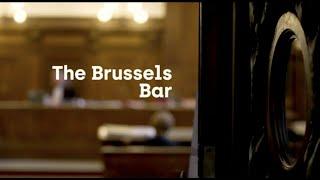 The Brussels lawyers