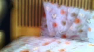 friend stuffy thing war