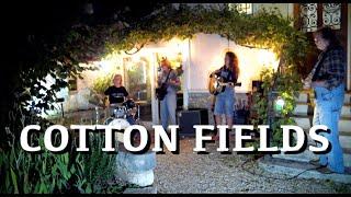 Cotton Fields - Creedence Clearwater Revival Full Cover with Dominique Cotten