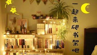 【小圆脸】一起参观我的书架吧~Bookshelf Tour