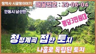 (23. 06. 04) 국유림으로 둘러싸인 골짜기 막장 자연인토지. 맑은 계곡물 졸졸 흐르는 시내 인접한 곳에 컨테이너  놓고 힐링 할 수 있는 곳.