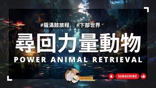 | 薩滿鼓旅程・30分鐘・尋回力量動物｜Power Animal Retrieval Shamanic Drumming Journey