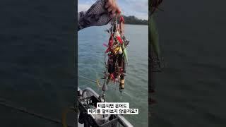 문어낚시 바다에서 건진 최대어#낚낚 #문어낚시 #fishingkorea #낚시유튜버 #fishing #angler