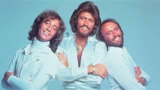 Maurice Gibb  -  Hold Her In Your Hand lyric video