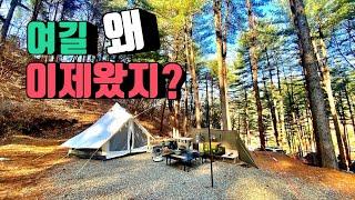 4K [포토라이tv] 사이트갯수를 모름 | 여길 왜 이제왔나 | 멋진 숲속배경 | 생일캠핑 | 여기 참 좋다 | 캠핑장의 이상향 | 유식물원캠핑장