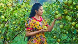 Guava Delights (Sri Lankan Recipes)  Making Cordial, Cotton Candy, Creamy Cake, and More Treats!