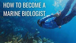 How to Become a Marine Biologist (step by step) // Marine Biology Careers & Marine Research