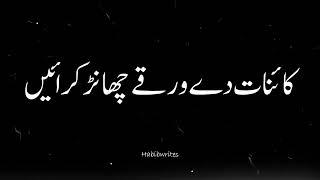 Best Saraiki Mahiye Status Lines Ever