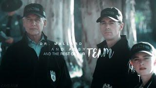 [ NCIS ] The Rest Of Our Team | Season 14 Tribute