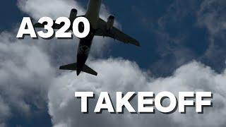 A320-232 take off from Invercargill Airport New Zealand #planes #a320200 #aviationchannel #aviation