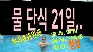 물단식 21일을 마친 후.., 내 몸에 생긴 변화들..!  건강이 최고!