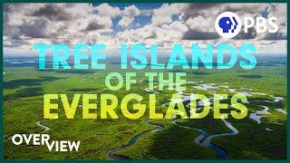 The Secret Islands of the Everglades