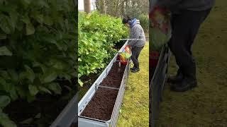 Mini #foodforest in raised beds and on a fence #permaculture #permacultureprinciples #gardening