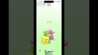 Pokemon GO - gintotski Playing with Buddy Lickitung