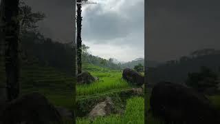 batu gede#videoshorts #kampungsunda ||@hilmi_chanell