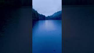Rainy Lakeside ASMR - Serene Scenes