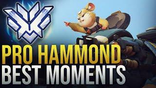 BEST PRO HAMMOND MOMENTS - Overwatch Montage