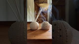 Wheel-throwing a porcelain sea urchin for incense #shorts #porcelain #seaurchin #incenseburner