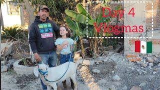 Our Family Life in Mexico - Vlogmas Day 4 // training Our baby Goat.