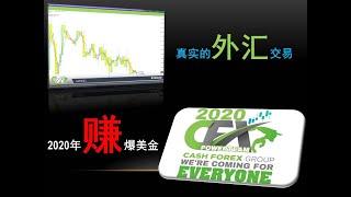 CashFX(Cash Forex Group）平台外汇交易合法性和真实性解读