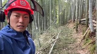 【作業記録】竹林整備を進めます！