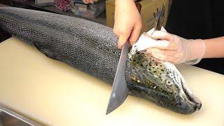 How To Fillet a Whole Salmon | Sashimi & Sushi -Taiwanese street food