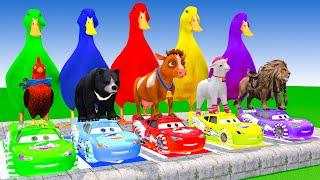 5 Giant Duck Cartoon, Cow, Lion, Bear, Tiger, Paint Wild Animals Crossing Fountain Animation