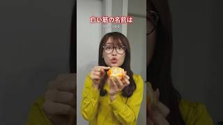 今韓国で人気「意味不明な歌」を日本語で歌ってみた