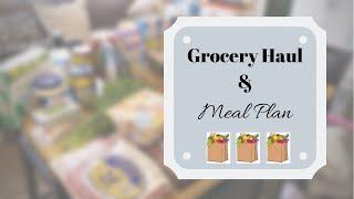 RV/Small Space GROCERY HAUL | with MEAL PLAN