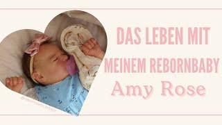 Amy Rose wird für den Tag fertig gemacht