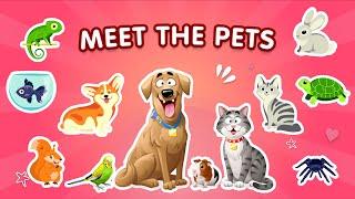 15 Best Pets for Kids | Pets Showcase