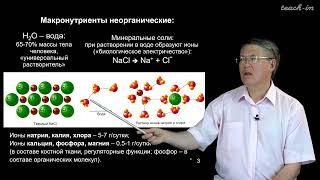 Дубынин В.А. - 100 часов школьной биологии - 1.10 Питание и обмен веществ