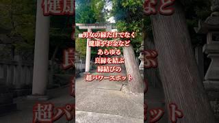 ️見逃し厳禁️あらゆる良縁を結ぶ愛知県の縁結びの超絶パワースポット【白山宮】 #縁結び #運気上昇 #スピリチュアル #パワースポット #遠隔参拝