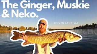 Late July Finesse Fishing // Neko Rig