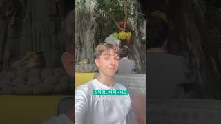 [PART 6] 유럽인 첫 제주도 여행 (산방산 보문사) #외국인 #vlog #fabio #jeju