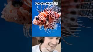 Fakta Lionfish #hewanlaut #shorts #azphenpalopo