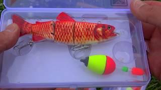 ANIMAL VS ROBOT: Pike fishing with a robot lure.