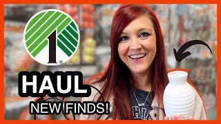  NEW DOLLAR TREE FINDS YOU'LL WANT TO GRAB! DOLLAR TREE HAUL SEPTEMBER 2024