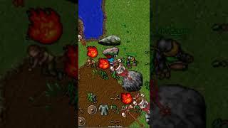 NOBZTRAKT THE POWER ABUSER - OF QUEST MASSACRE [FINAL PART]  (Saphira 2008 8.22) #oldtibia