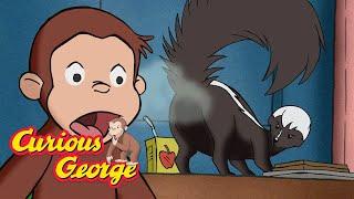 What Are Nocturnal Animals?  Curious George  Kids Cartoon  Kids Movies